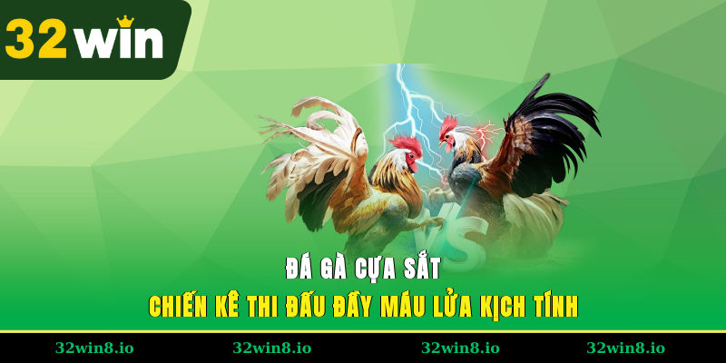 Đá Gà Cựa Sắt - Chiến Kê Thi Đấu Đầy Máu Lửa, Kịch Tính 4 Đá Gà Cựa Sắt - Chiến Kê Thi Đấu Đầy Máu Lửa, Kịch Tính