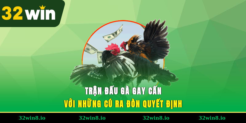 Đá Gà Cựa Dao – Kinh Nghiệm Chơi An Toàn Và Thắng Lớn 32WIN 2 Trận đấu gà gay cấn với những cú ra đòn quyết định